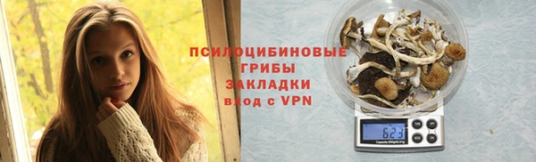 apvp Алексеевка