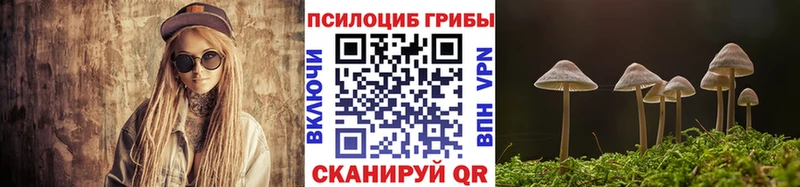 как найти закладки МЕГА зеркало Галлюциногенные грибы Psilocybine cubensis Чусовой